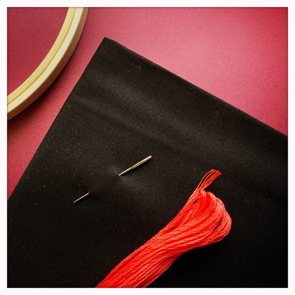Beginning Embroidery Hobby